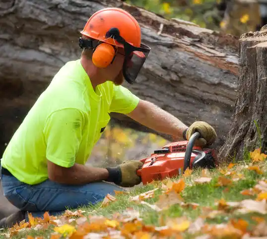 tree services Lake Milton